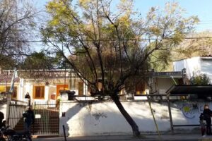 Escuela N&deg;335 &ldquo;Naciones Unidas&rdquo;