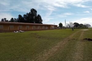 ESCUELA N°43 Martiniano Leguizamon