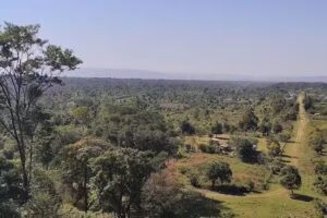 Escuela n&deg;4535 &ldquo;Rvdo. Padre Ignacio Truzzu&rdquo; &ndash; Los Naranjos