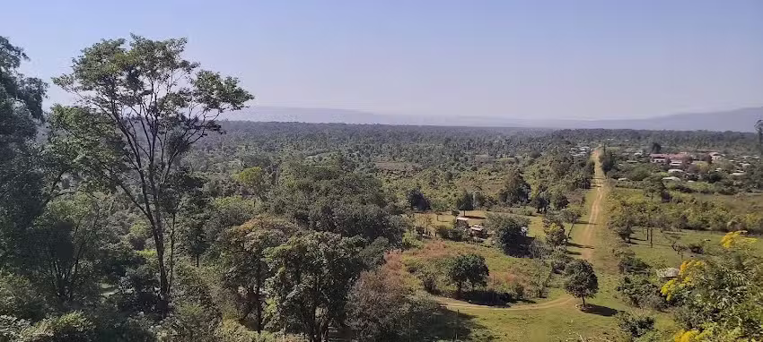 Escuela n&deg;4535 &ldquo;Rvdo. Padre Ignacio Truzzu&rdquo; &ndash; Los Naranjos
