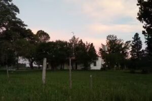 Escuela N&deg;56 &ldquo;V&iacute;ctor Mercante&rdquo;