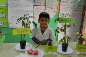 ESCUELA N°6 LUIS PASTEUR