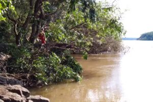 Escuela N&deg;602 Edificio Nuevo