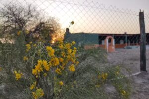 Escuela N&deg;858 &ndash; MOLLE