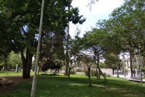 Escuela Ni&ntilde;o Jes&uacute;s N 1161