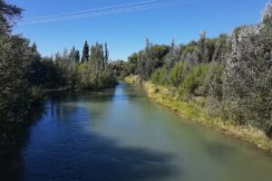 Escuela N&ordm; 139 &ldquo;Valle de los Inmigrantes&rdquo;