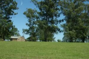 Escuela N&ordm; 225 Cesareo Navajas Centeno