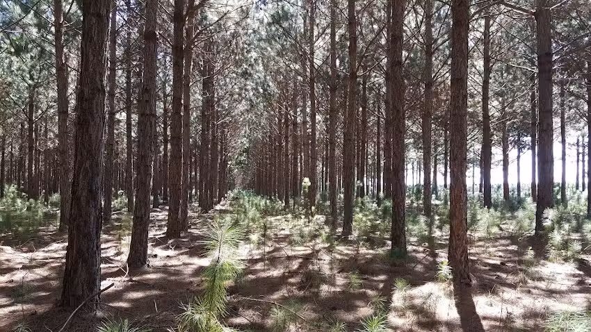 Escuela N&ordm; 241 -Padre Juli&aacute;n Zini