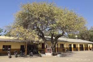 ESCUELA N&ordm; 4286-JUAN DOMINGO PER&Oacute;N-