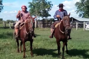 Escuela N&ordm; 435 Centenario