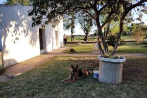 Escuela N&ordm; 47 &ldquo;Juan Mar&iacute;a Gutierrez&rdquo;