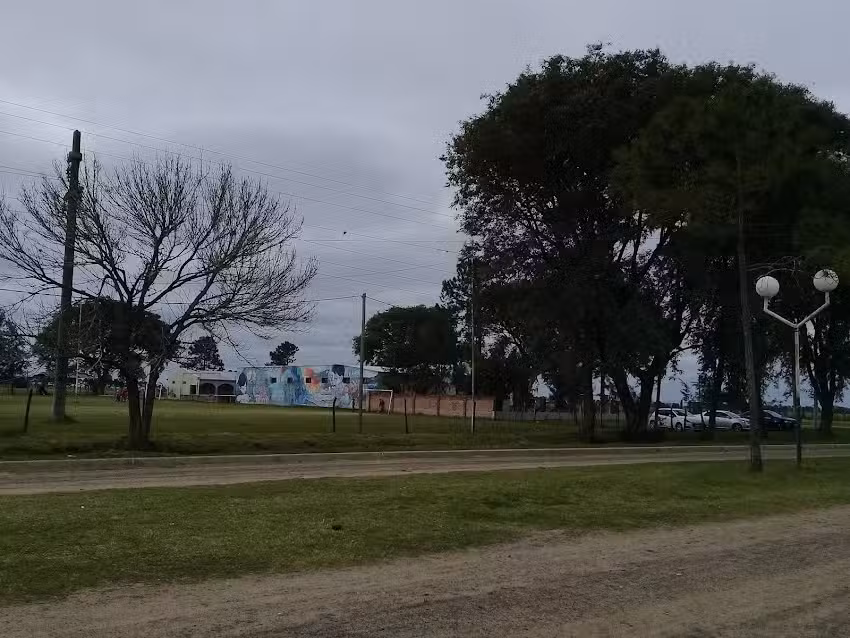 Escuela N&ordm; 513 &ldquo;Domingo Faustino Sarmiento&rdquo;