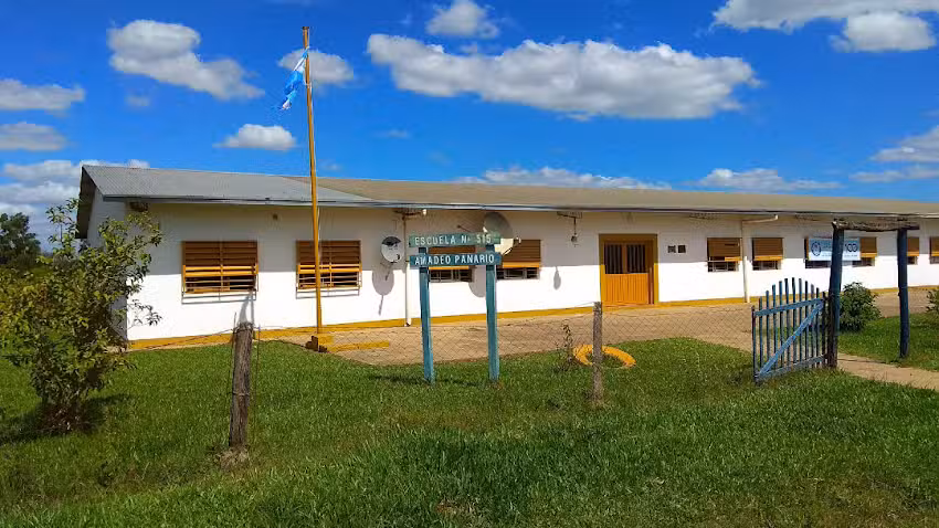 Escuela N&ordm; 515 Amadeo Panario
