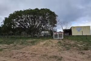 Escuela N&ordm; 597 Deolinda F. De Masdeu