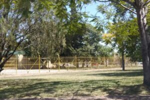 Escuela N&ordm; 64 Jos&egrave; Hernandez