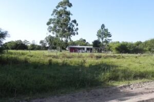 Escuela Nº 659 Angela Selander De Gonzalez Ferreiro