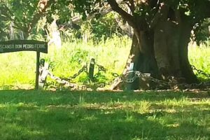 Escuela Nº 750 Angelica M.Billordo De Morales