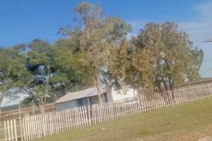 Escuela N&ordm; 875 Granaderos De San Martin