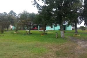 Escuela N&ordm; 9 Pablo Pizzurno