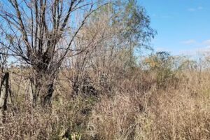 Escuela Nro. 24, Paraje La Estrella