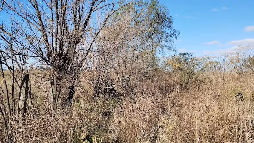 Escuela Nro. 24, Paraje La Estrella