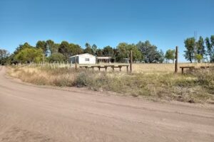 Escuela nro. 31. Patricios