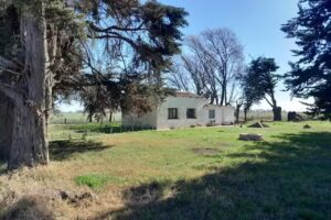 Escuela Nro. 38 “Ntra. Señora de Luján”