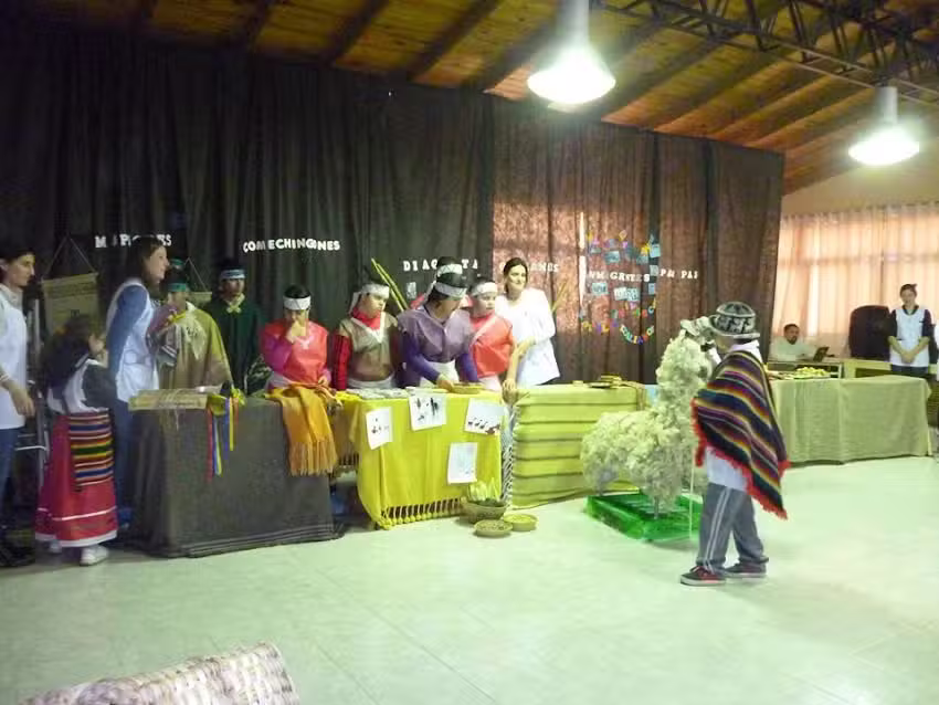 Escuela N&uacute;mero 501