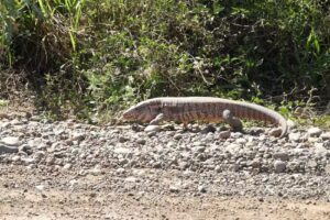 Escuela Paso de las Carretas