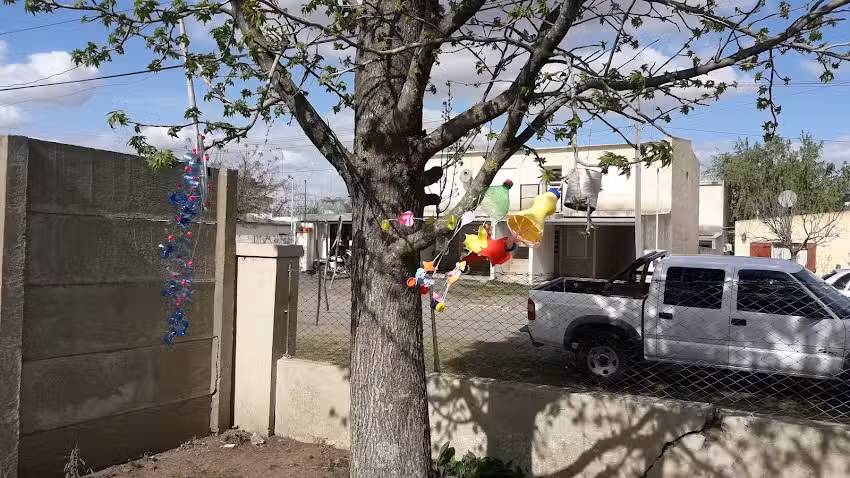 ESCUELA PRIMARIA 23