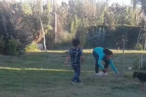 Escuela Primaria 266