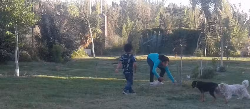 Escuela Primaria 266