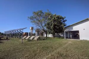 escuela primaria 295 san isidro goya corrientes