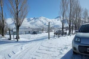 Escuela Primaria 299