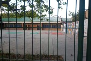 Escuela Primaria 313