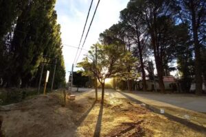 Escuela Primaria 36 CEFERINO NAMUNCURA