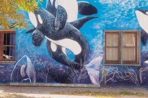 Escuela Primaria B&aacute;sica N&deg;21 Mar De Cobo