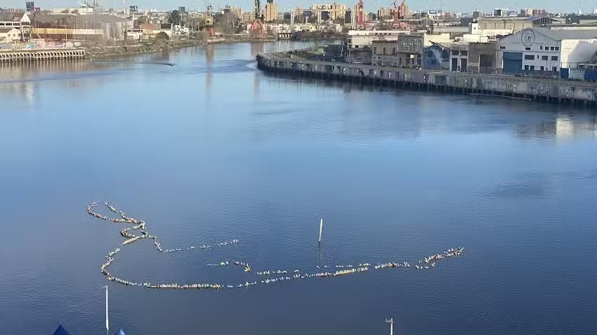 Escuela Primaria Com&uacute;n N&deg; 09 &ndash; Benito Quinquela Mart&iacute;n