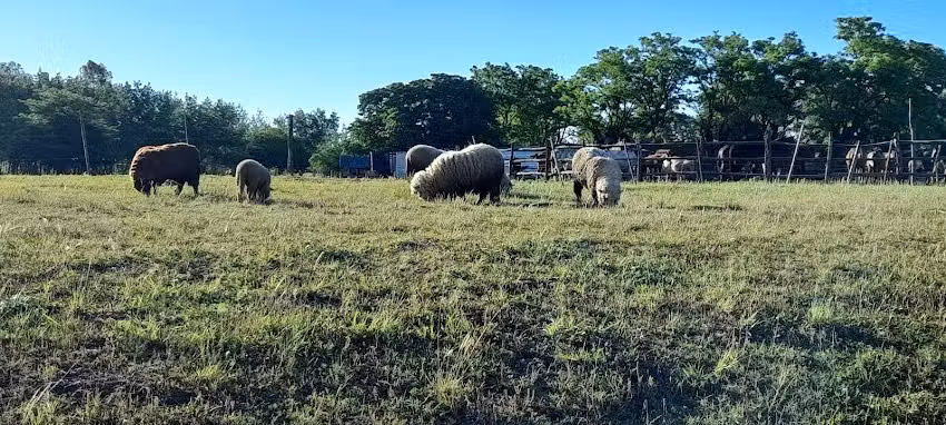 Escuela Primaria Com&uacute;n N&deg; 23 &ndash; Provincia de Entre R&iacute;os