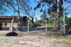 Escuela Primaria Comun Nº 736