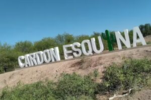 Escuela primaria de card&oacute;n esquina