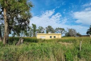 escuela Primaria JUAN JOSE PASO