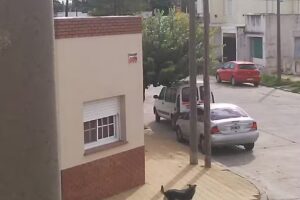 Escuela Primaria N&deg; 1 Juan B. Alberdi