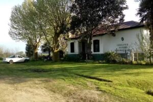 Escuela Primaria N&deg; 10 &ldquo;Constancio C. Vigil&rdquo;