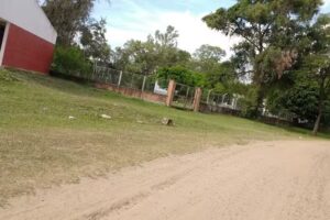 ESCUELA PRIMARIA N&deg; 132