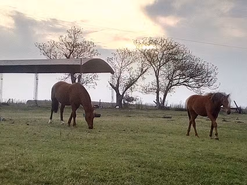 Escuela Primaria N&deg; 172 &ldquo;Catamarca&rdquo;