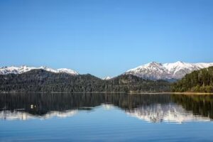 Escuela Primaria N° 295