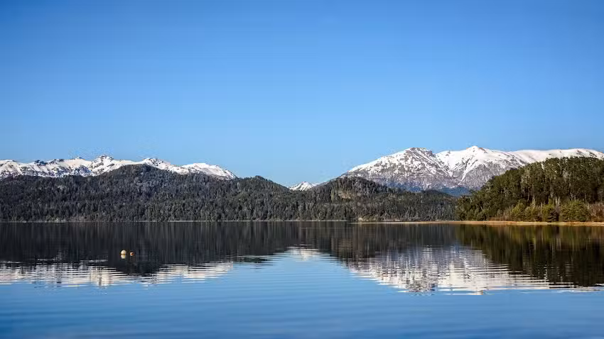 Escuela Primaria N&deg; 295