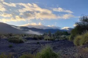 Escuela Primaria N° 462