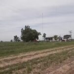 Escuela Primaria N&deg; 5